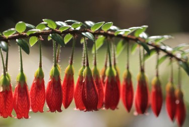 佛山顺德区7私人快速借钱网，轻松解决资金难题