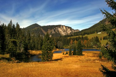 佛山顺德区7民间私贷攻略：揭秘低成本借贷的秘密