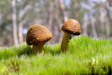 佛山顺德区7私人老板放款：轻松融资的秘密通道